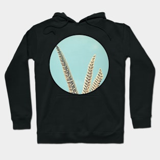 Plumes Hoodie